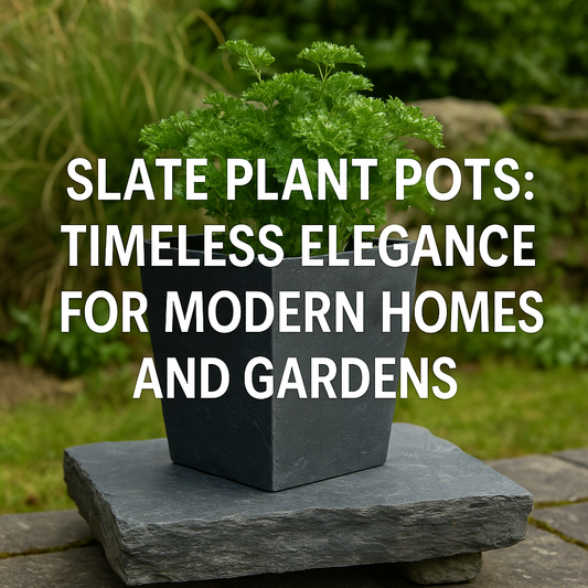 Slate Plant Pots: Timeless Elegance for Modern Homes and Gardens