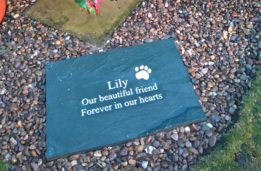 dog memorial plaque