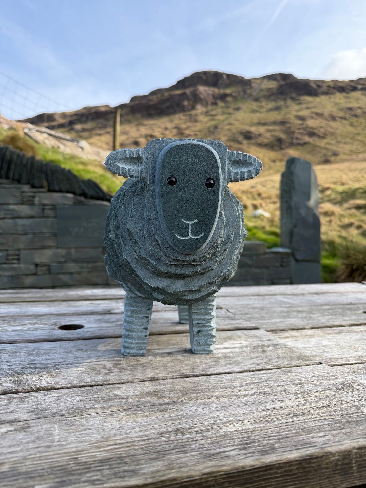 Large Slate Herdwick Ewe