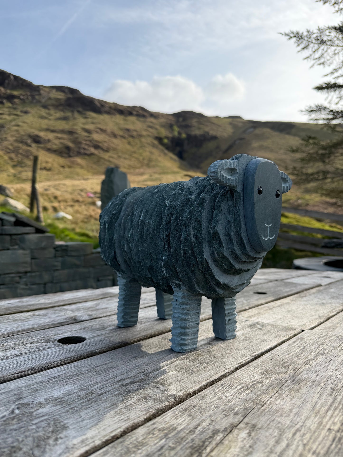 Large Slate Herdwick Ewe