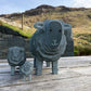 Large Slate Herdwick Ewe