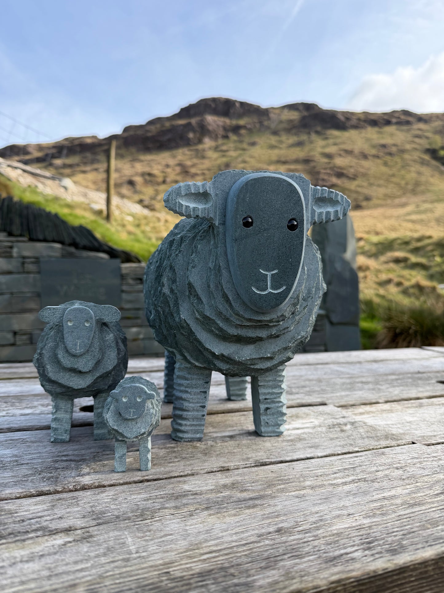 Large Slate Herdwick Ewe