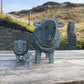 Large Slate Herdwick Ewe