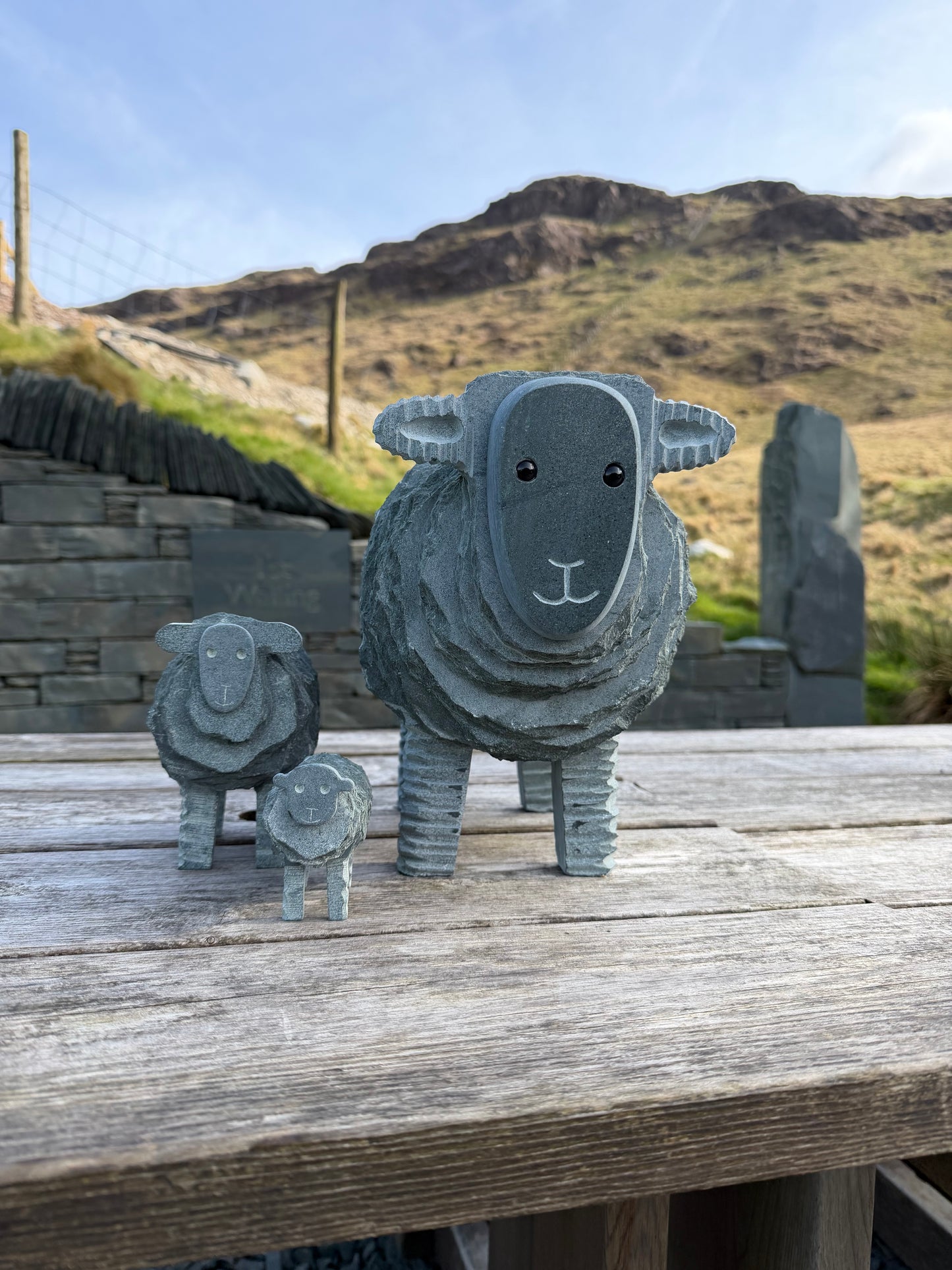 Large Slate Herdwick Ewe