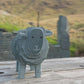 Large Slate Herdwick Ewe