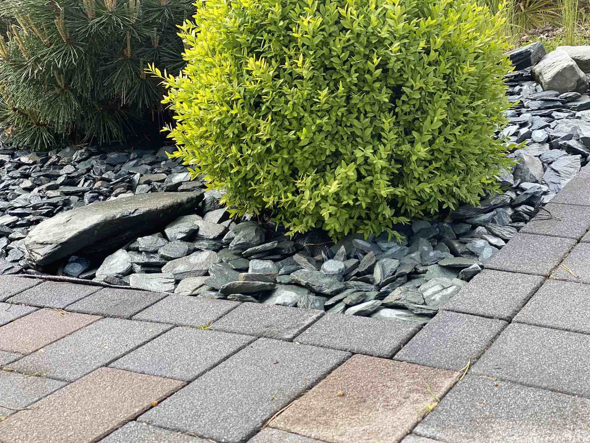 Slate Paddlestones | Paddlestones Bulk Bag | Honister Slate Mine